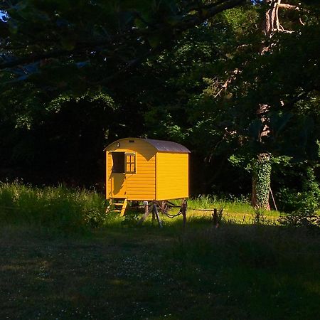 Blackstairs Shepherds Huts Killedmond Exterior photo